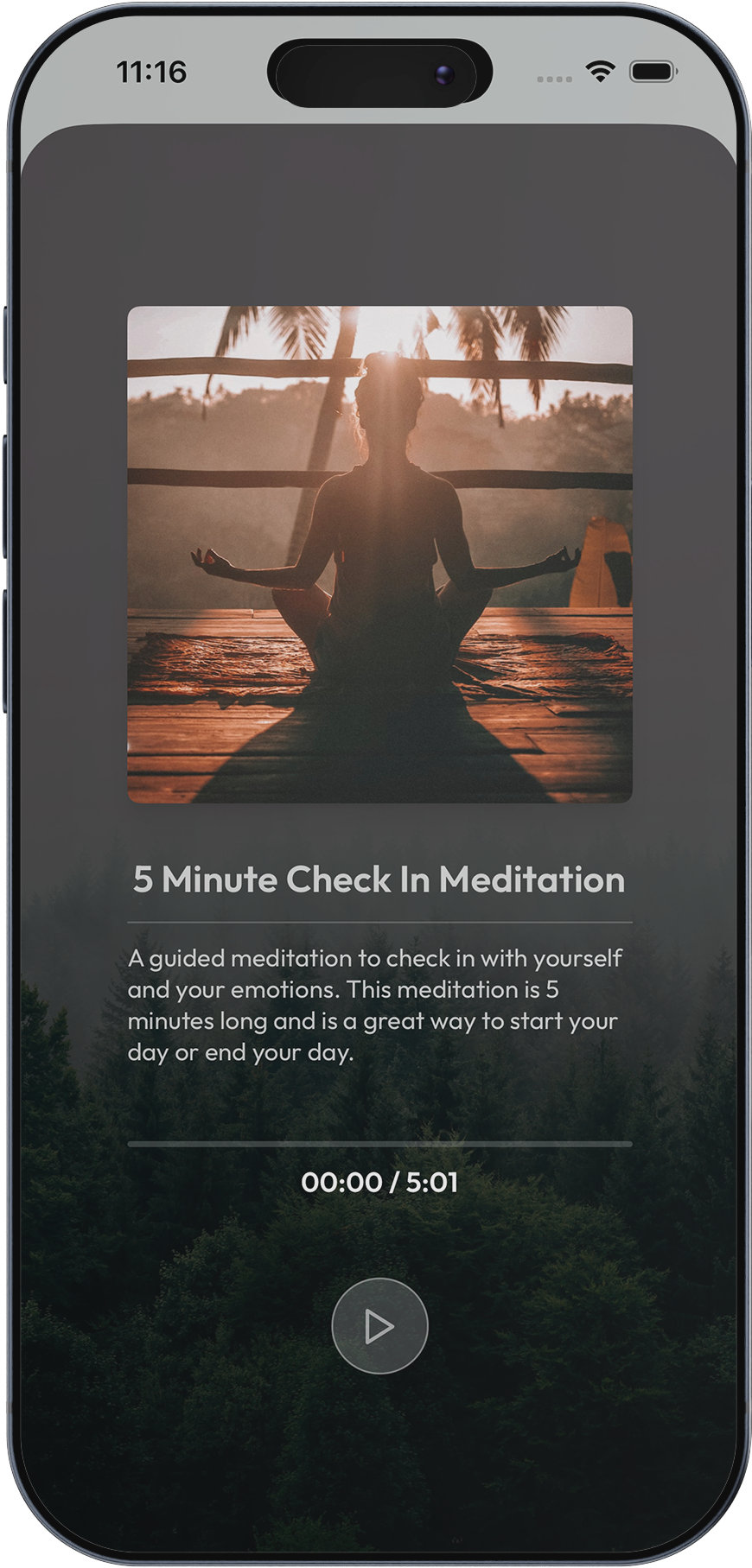 DBT Pal Meditation Exercise - Guided mindfulness practice